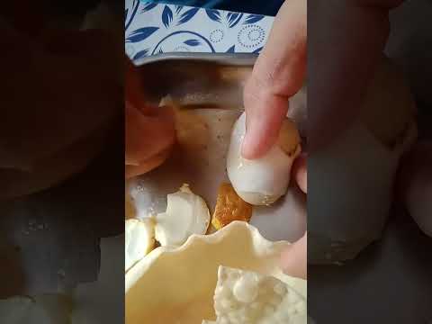 Twin Yolk chicken egg