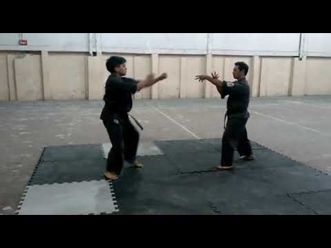 Tecnicas kenpo/aikido