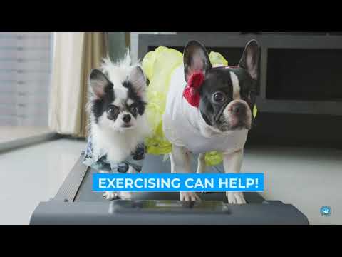 Feeling stressed? Exercise can help!