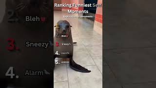 Ranking Funniest Seal moments... Subscribe please