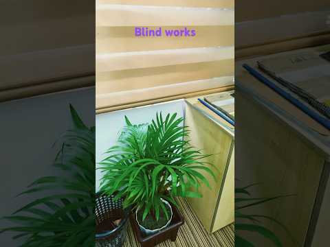 Window Blind works #interiordesign #home_interior_design #roomdecoration