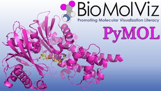 PyMOL Tutorial: Active Site Modeling