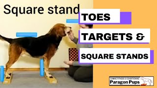 Toes, Targets and Square Stands