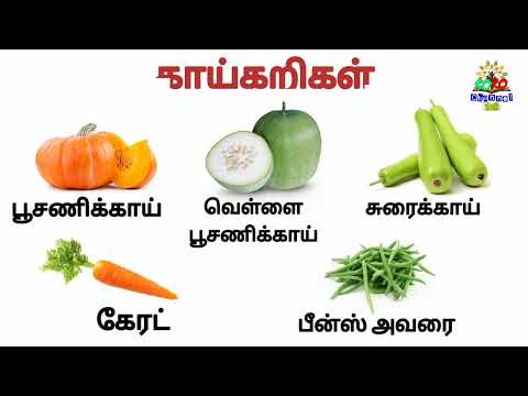 Vegetable Name in tamil full videos #kidsvideo #learn #learnkids #vegetables