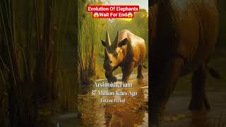 #Evolution of #elephants #shorts #reels