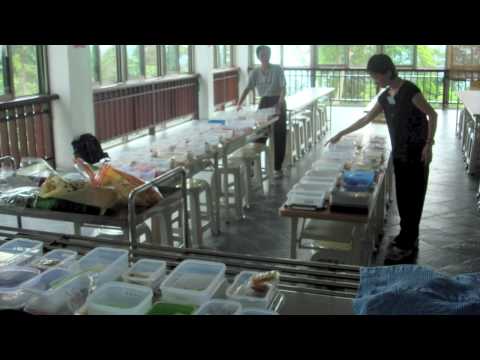 Bao En Tang 10th Children Camp