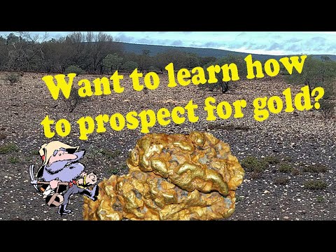 Want to learn how to find gold? I show you all the ins and out of metal detecting for gold nuggets