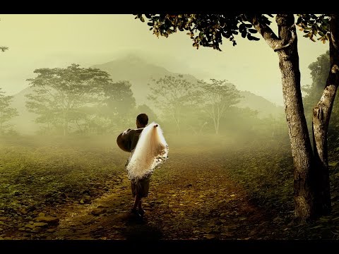 2 HOURS of Relaxing Music | Chinese Bamboo Flute | Piano - Meditation Music - Healing Zen, Sleep ☯1