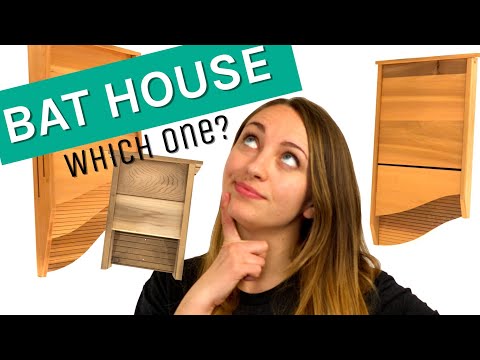 Which bat house is right for me?