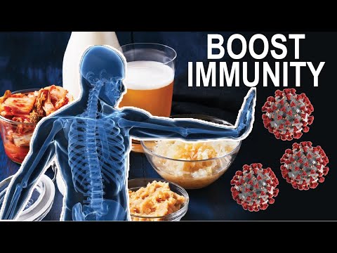 How to Boost your Immune System with Fermented Foods and Probiotics | Science-based answer