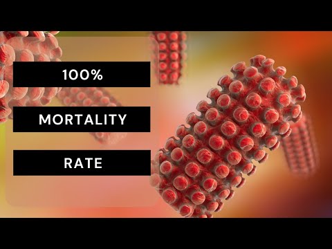 World's Deadliest Virus [No Ads]