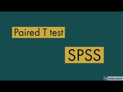 Paired T test using SPSS  25