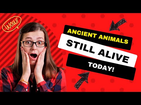 Prehistoric Ancient Animals Still Around Today - Cool Facts TV