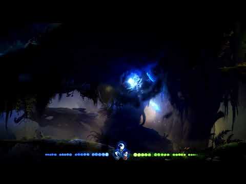 Ori And The Will Of The Wisps out of bounds