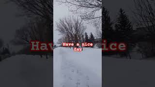 Good day ♥️♥️ #everyone #calgaryisbeautiful #snow #shortvideo