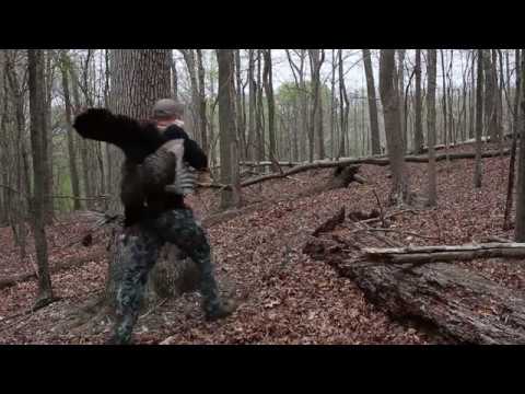 Maryland Turkey  bowhunt