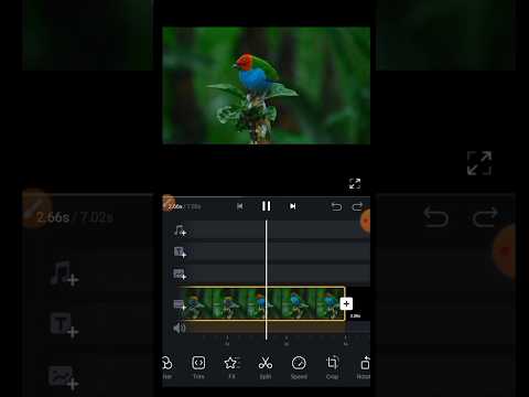 😱😱 vn editor short video || vn editor birds #shorts #ytshorts #viral #viralshorts