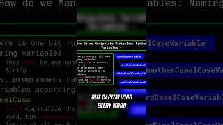 Variable Naming: Camel Case Explained for Programmers