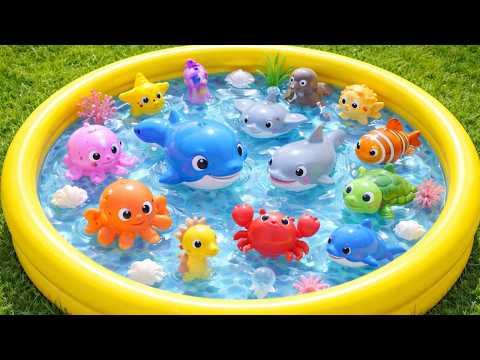 Kids Love This! 🐠 Sea Animal Toys to Learn Names & Facts
