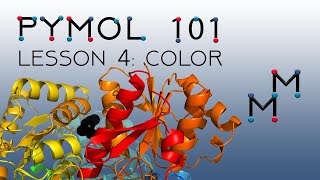 PyMOL 101, Lesson 4: Color, Transparency, and Alternate Renderings