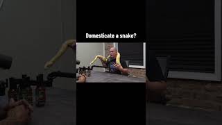 Domesticate a Snake?