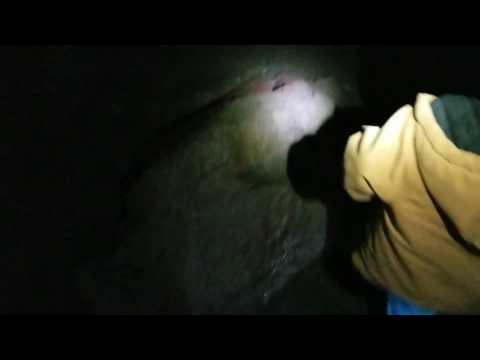 Ape Caves beginning the decent