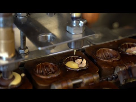 Korean food - walnut cookies made by an automated machine
