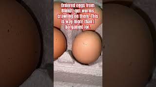 Ordered eggs from Blinkit, got worms crawling on them. This is way more than I bargained for. 🥴🥚