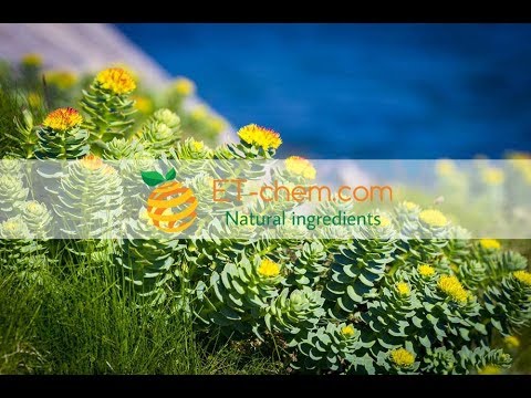 Rhodiola rosea extracts,Rosavins,Salidroside,cynnamil-glicosydes, Rhodiola root extracts manufacture