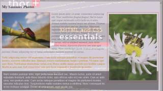 CSS Introduction - 10