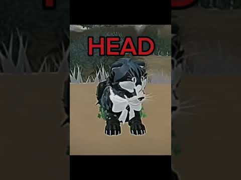 Idk what to name this..#wcue #wcueedit #warriorcats