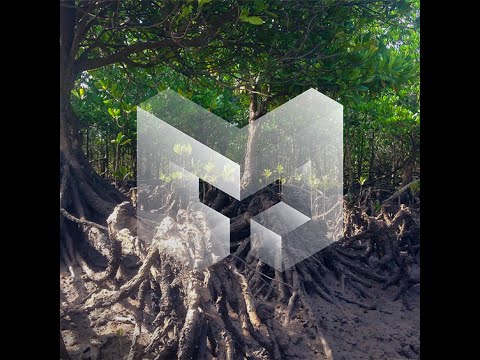 Laing Media Partners with Ecologi!