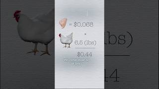 how much do chicken farmers make? #chicken #animals #knowyourfood