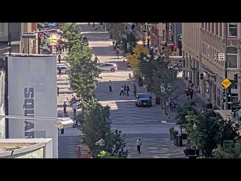 Denver 16th Street Mall Project - Curtis