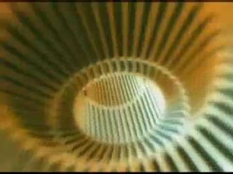 DVD VJ KILLAH_10 [LOOPS]