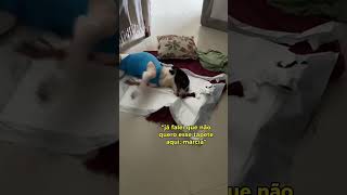 #dog#PetAdventures#PetComedy#cutestanimalsworld