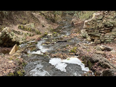Family camping with our Dog. Hiking, cooking, camping, creeks, waterfalls. Exploring nature. Coffee.