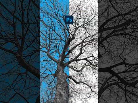 How to replace TREE Photoshop Instantly.  #photoshop