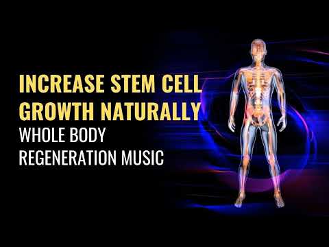 Increase Stem Cell Growth Naturally | Heal Your Stem Cells | Whole Body Regeneration Music | 528 Hz
