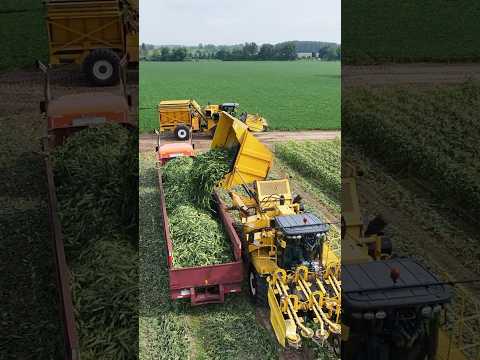 What's happening at Scotlynn🌽🚛