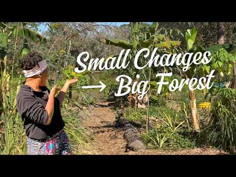 Tiny Changes with Big Impact