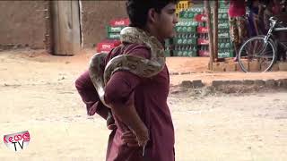 Snake in Town sri lanka  hiru matara nittawo