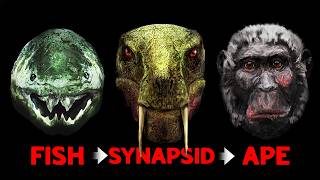 The Freakish Evolution of the Human Face