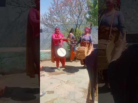 Pahadi Dhol Damo #funny #dhol #masti #video #viral #shorts #holi  #reels #village #lifestyle