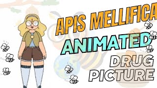 learn Apis in a fun way