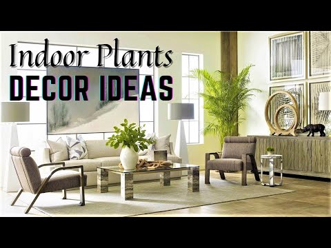 Indoor Plants Decor Ideas | Houseplants | Modern Interior with Plants