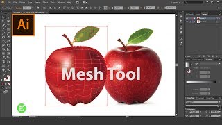 How To Use Mesh Tool In Illustrator In Hindi | Mesh tool illustrator | mesh tool | SABKE SAB