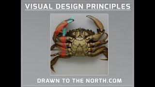 Visual Design Principles