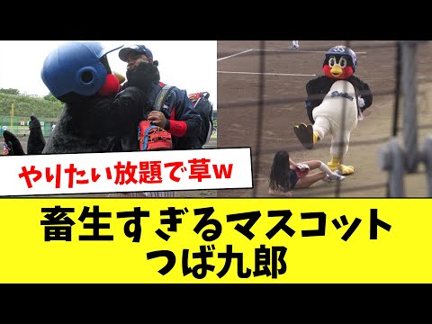 【畜生】つば九郎、マジでやらかしすぎて草生える…www
