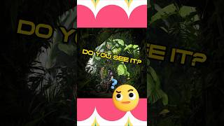 AI Hidden Picture Game is Cool 😎